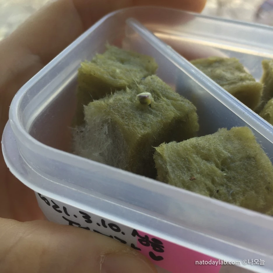 20210317-.jpg?type=w1