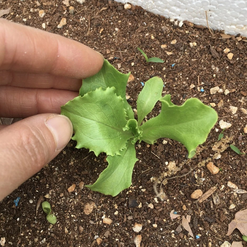 20210428_1161.JPG?type=w1