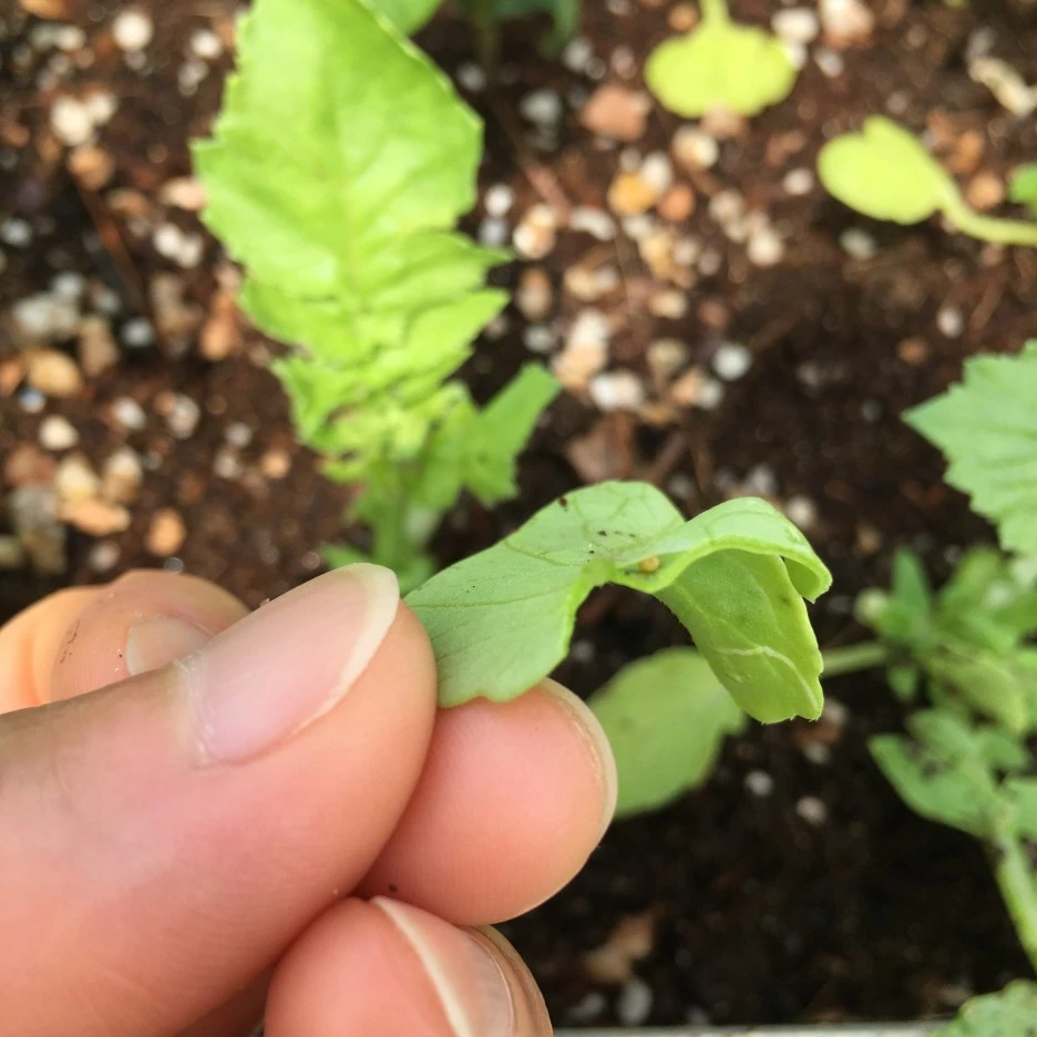 20210518_1635.JPG?type=w1