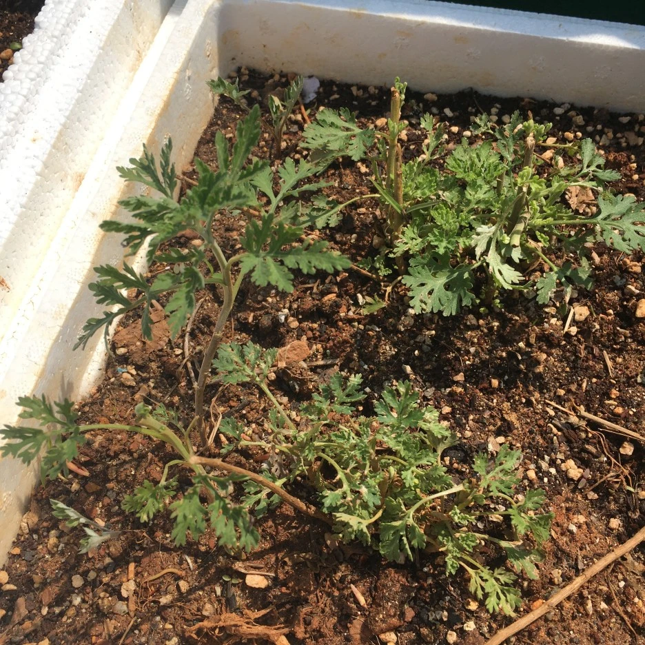 20210415_1088.JPG?type=w1