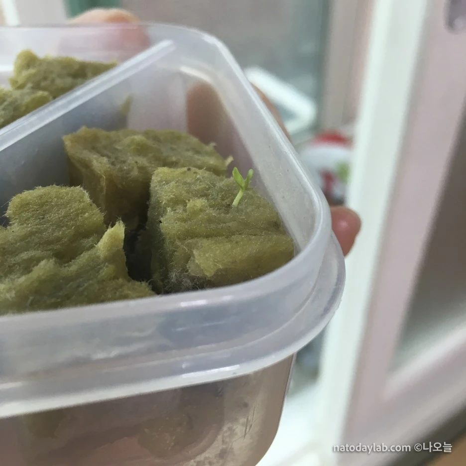 20210320--%EB%82%A0%EC%A7%9C-7.jpg?type=w1