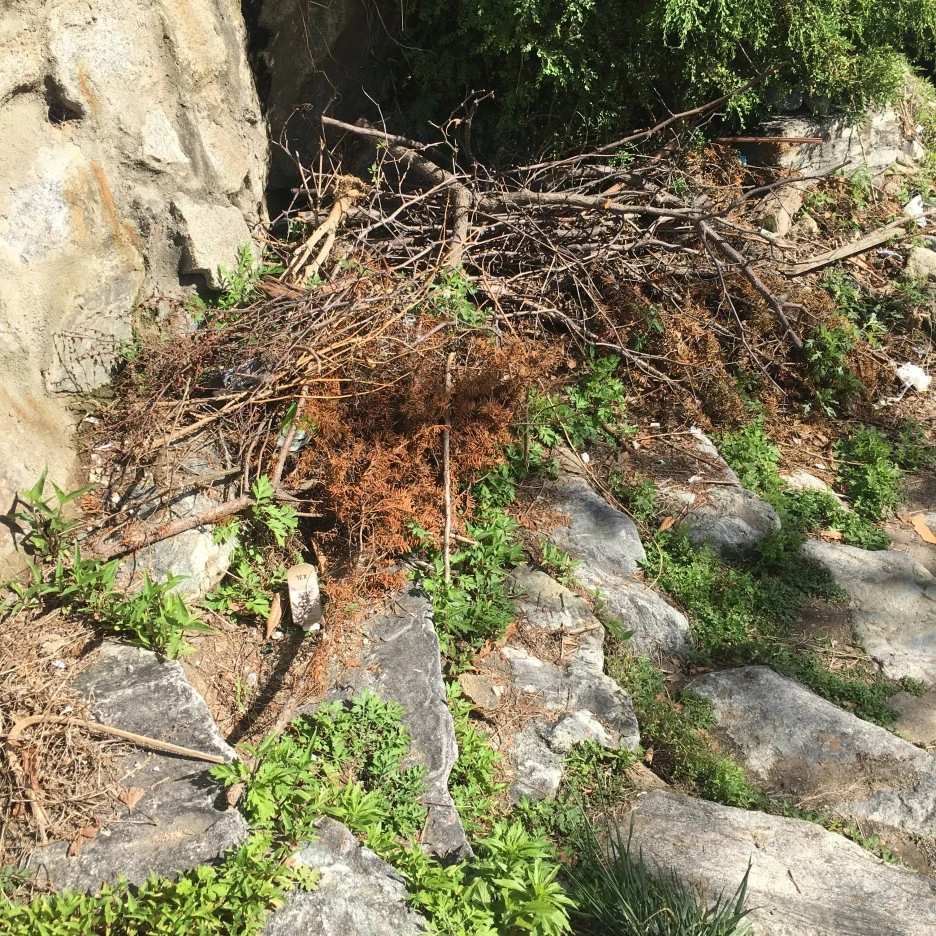 20210505_0067.JPG?type=w1