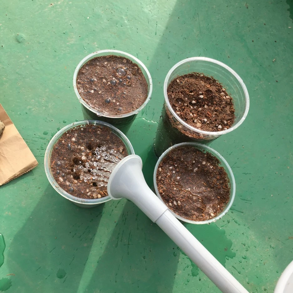 20210401_0473.JPG?type=w1