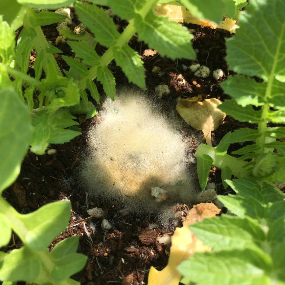 20210519_1675.JPG?type=w1