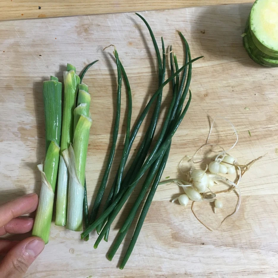 IMG_0939.JPG?type=w1