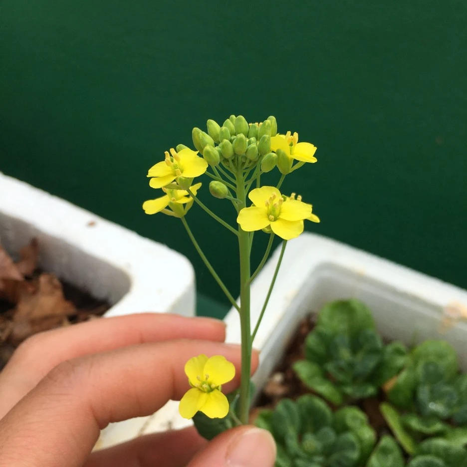 20210515_1543.JPG?type=w1