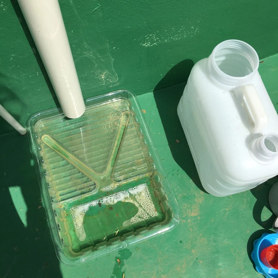 20210413_0979.JPG?type=w1