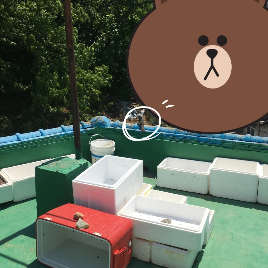 SE-4dc8f349-44e9-4b2f-87e5-09f4383cdc27.jpg?type=w1