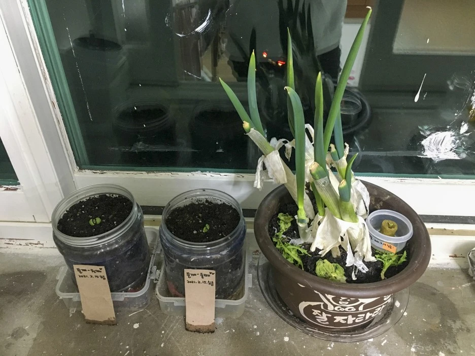 20210309_0123.jpg?type=w1