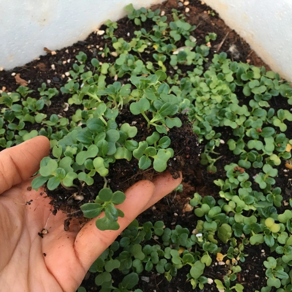 20210413_0994.JPG?type=w1