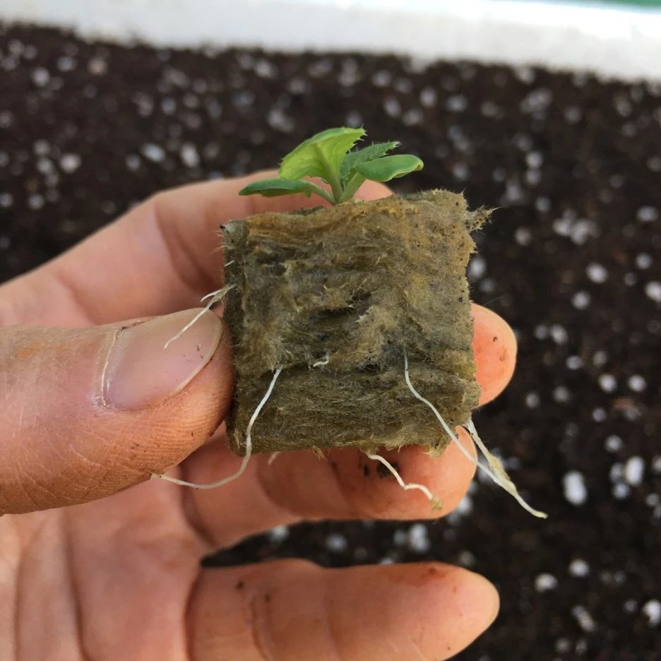 20210505_0078.JPG?type=w1