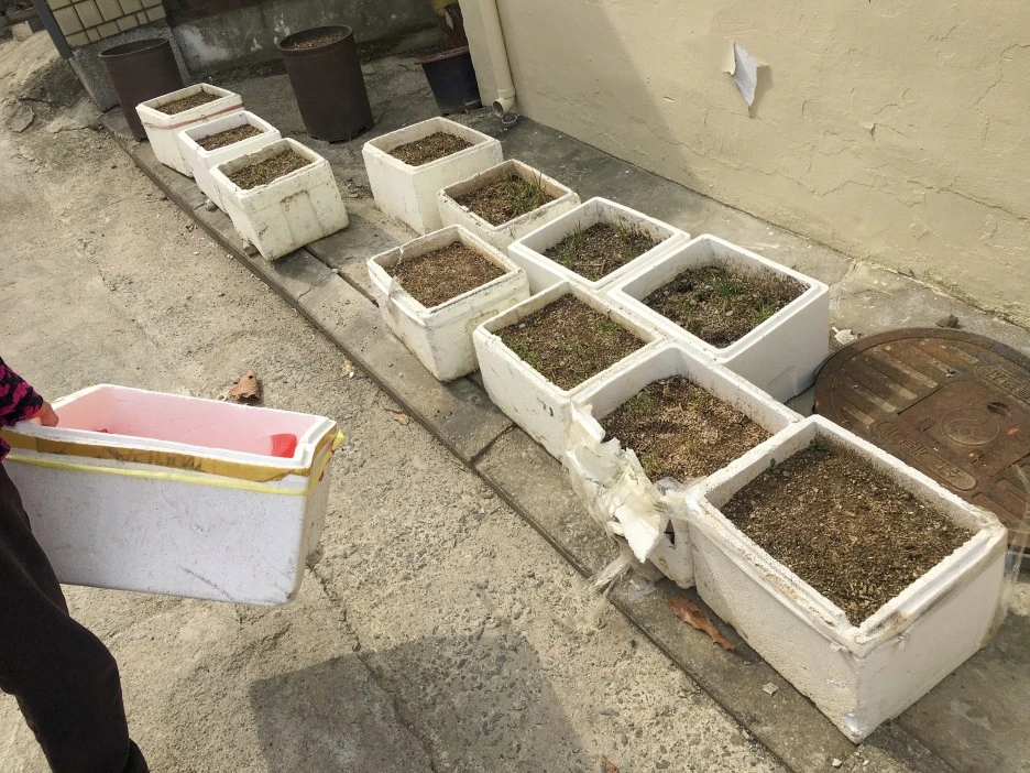 20210306_0083.jpg?type=w1