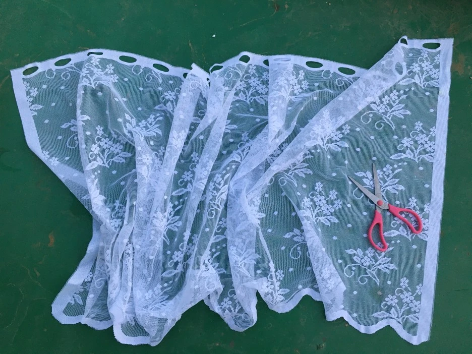 20210512_1442.JPG?type=w1