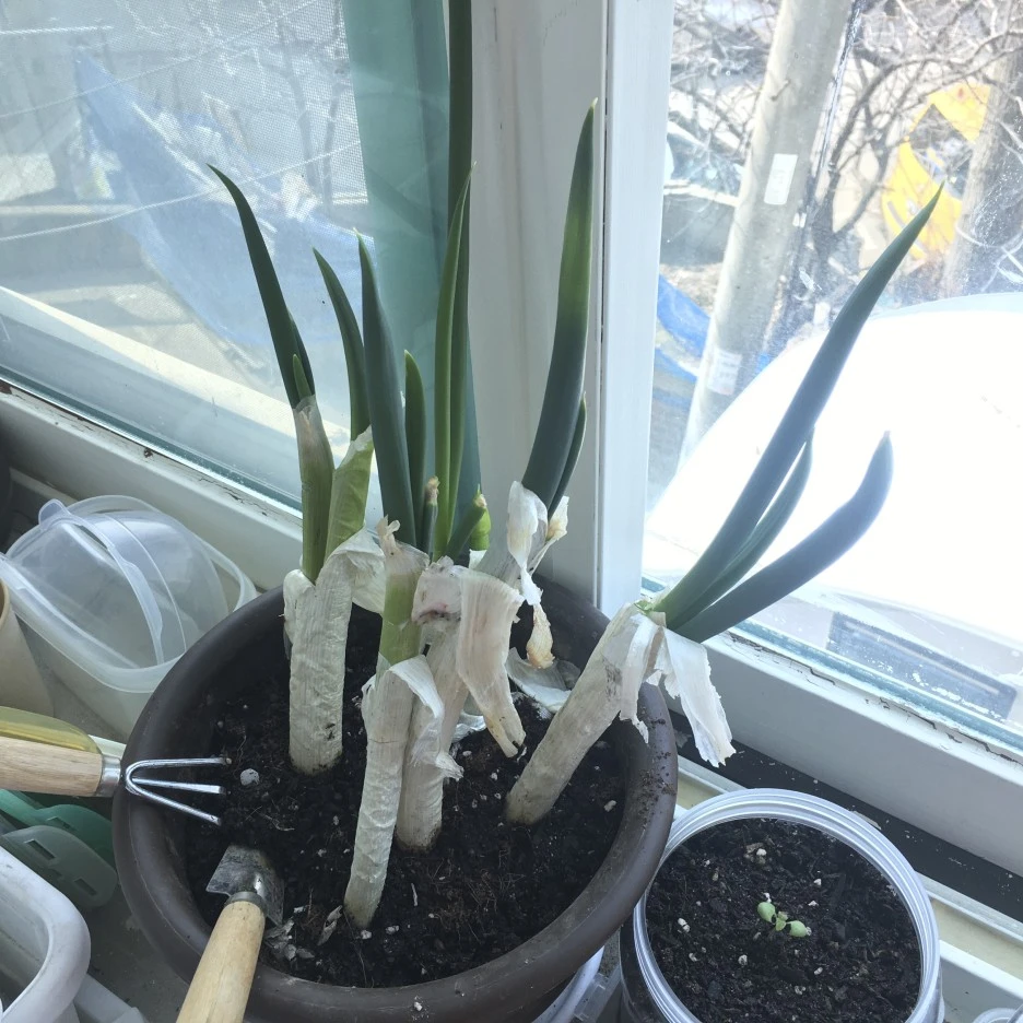 20210314_0190.jpg?type=w1