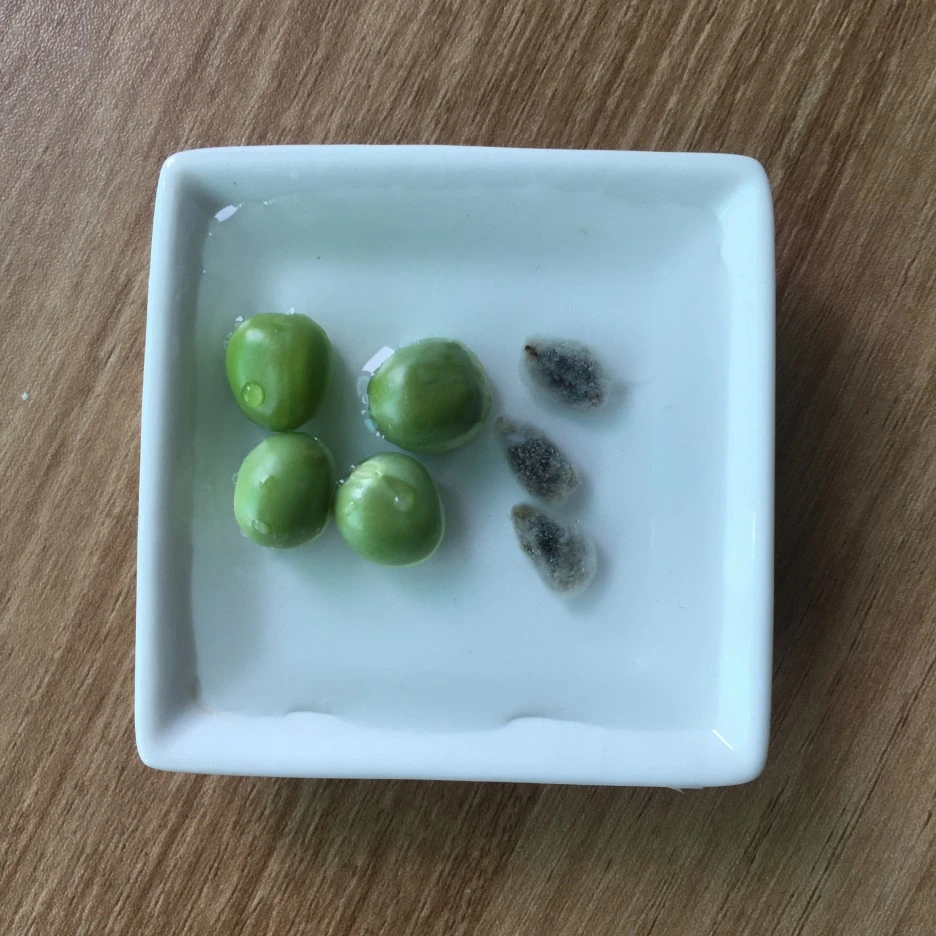 20210424_1012.JPG?type=w1