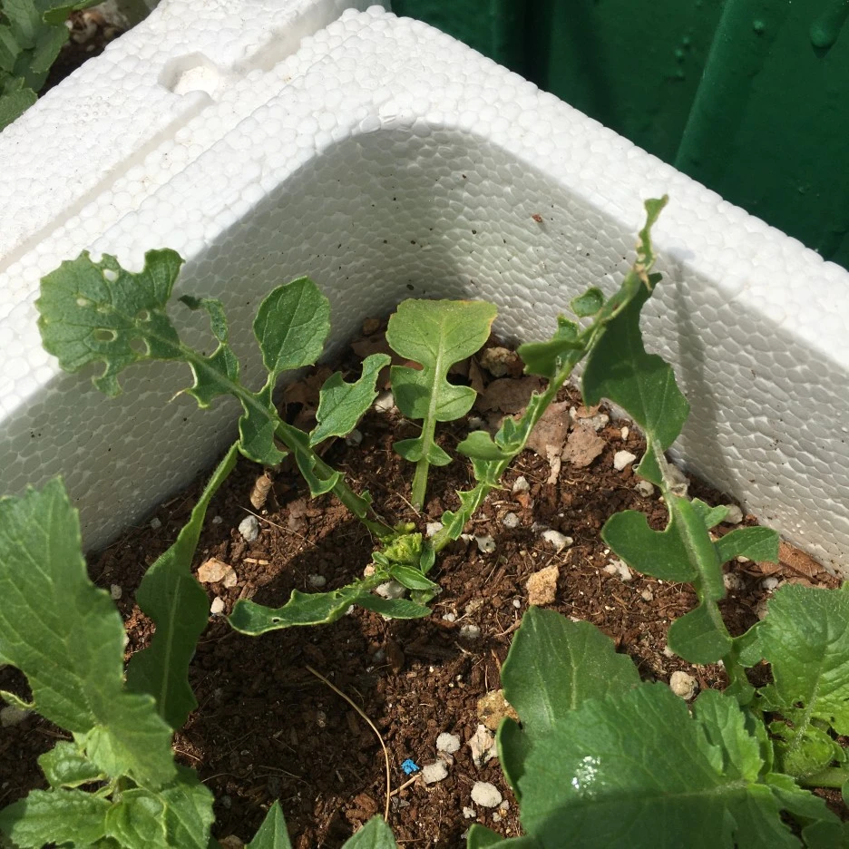 20210512_1431.JPG?type=w1