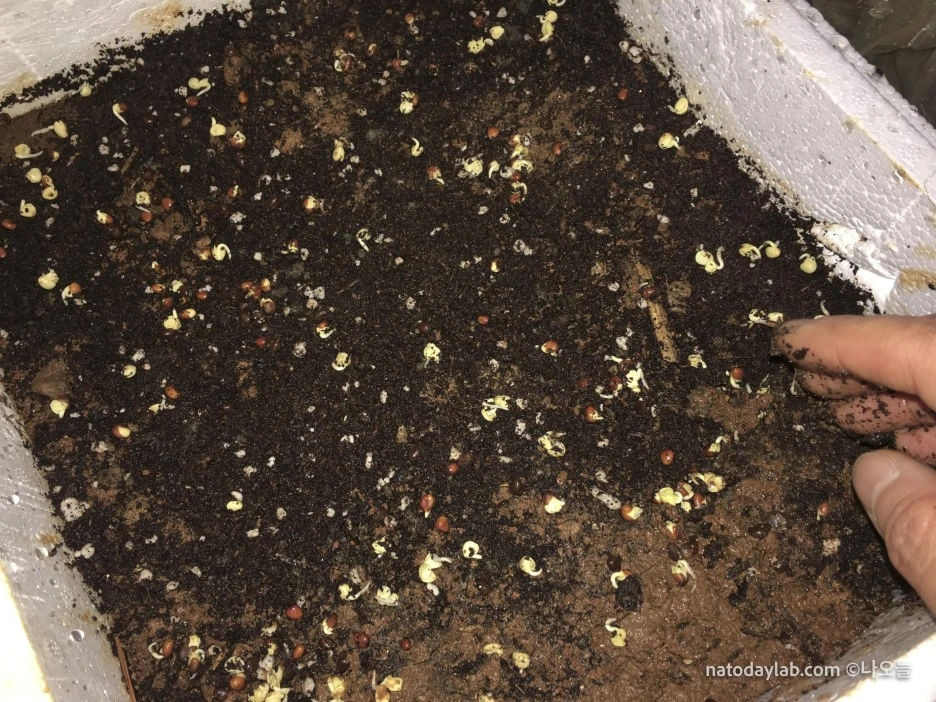 20210321--%EB%82%A0%EC%A7%9C-21.jpg?type=w1