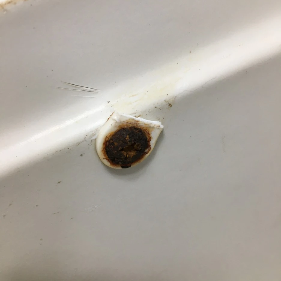 20210501_1221.JPG?type=w1