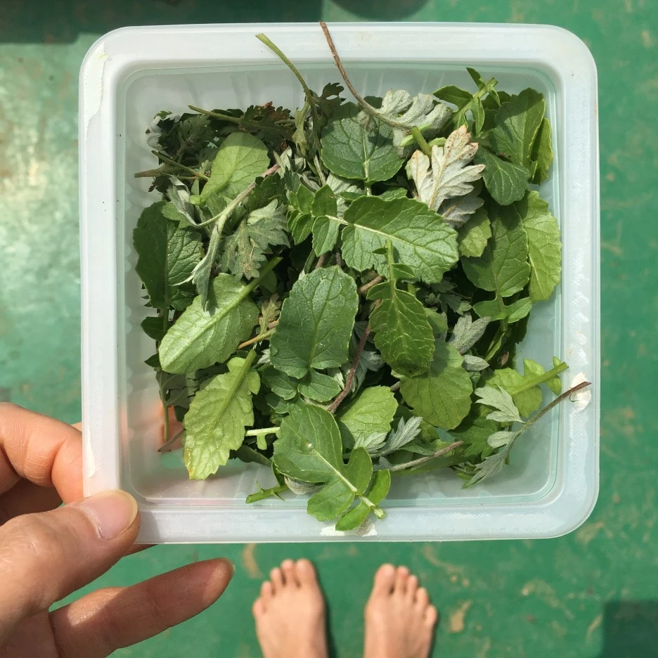 20210426_1081.JPG?type=w1