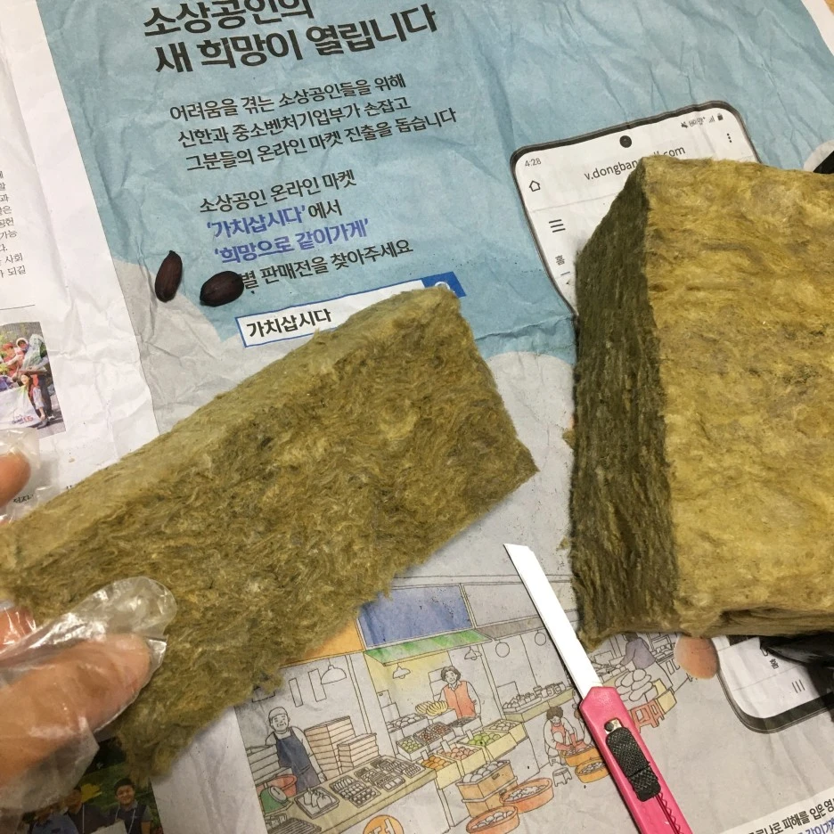 20210408_0600.JPG?type=w1