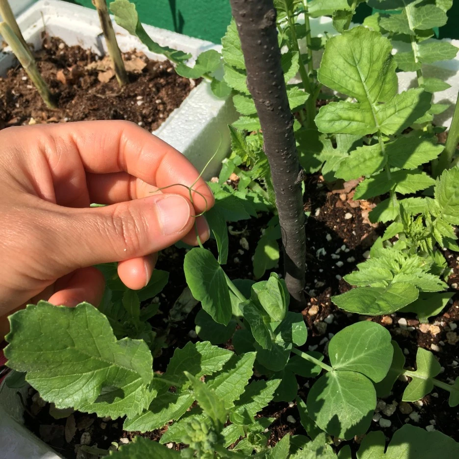 20210519_1689.JPG?type=w1