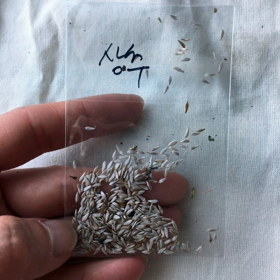 SE-d4acb7bc-2756-48bd-9b56-5052f5bce538.jpg?type=w1