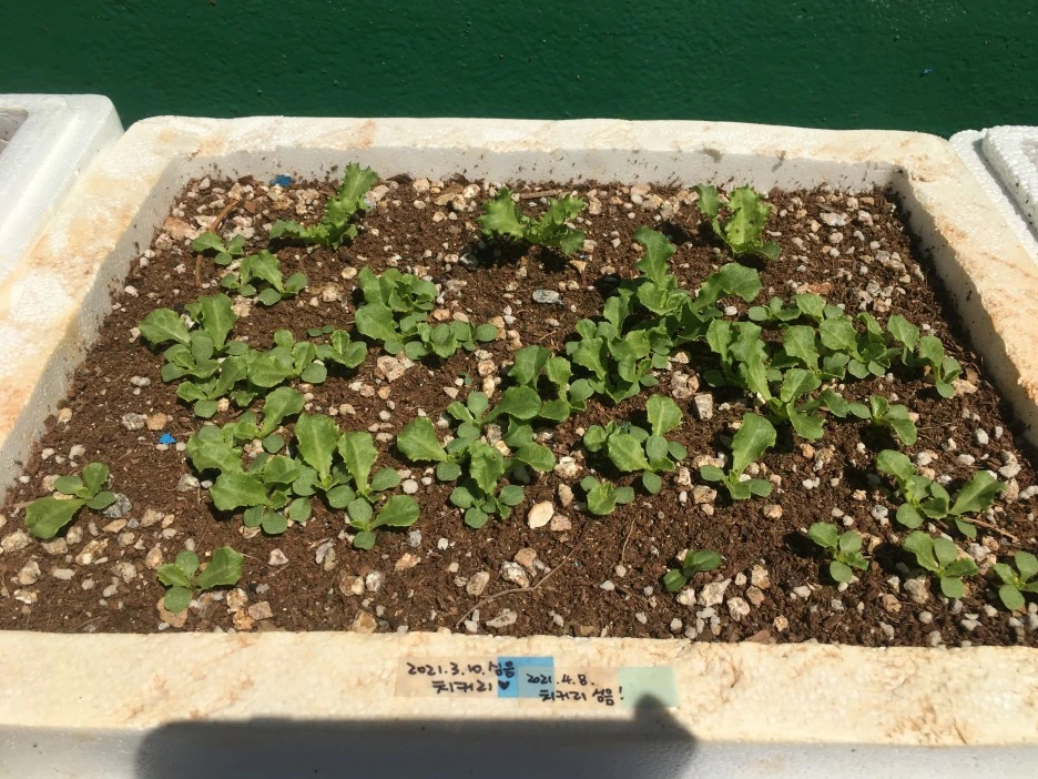 20210509_1330.JPG?type=w1