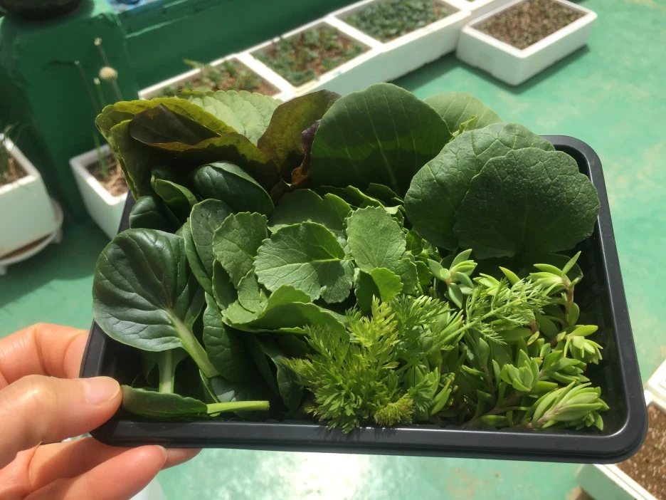 20210508_0118.JPG?type=w1