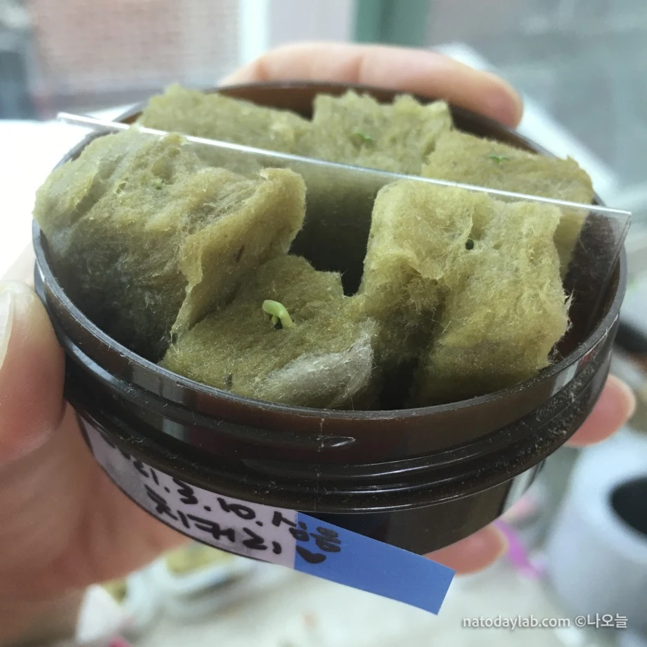 20210320--%EB%82%A0%EC%A7%9C-11.jpg?type=w1