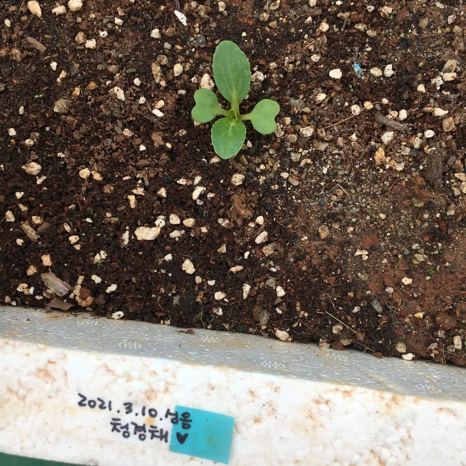 20210412_0974.JPG?type=w1