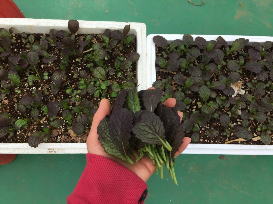 20210520_1740.JPG?type=w1