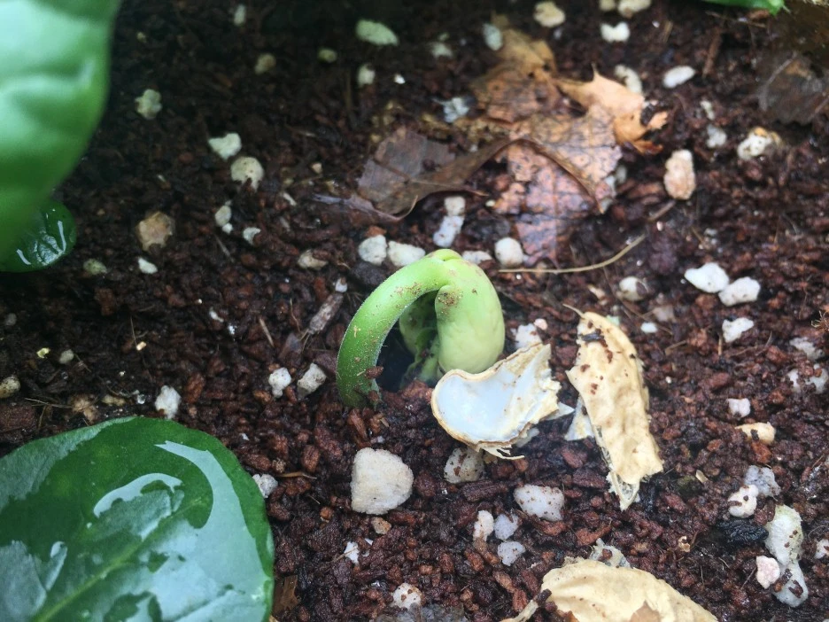 20210515_1566.JPG?type=w1