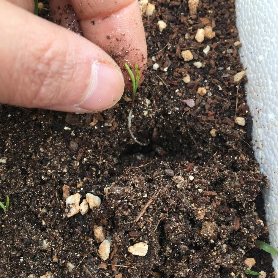 20210417_1149.JPG?type=w1