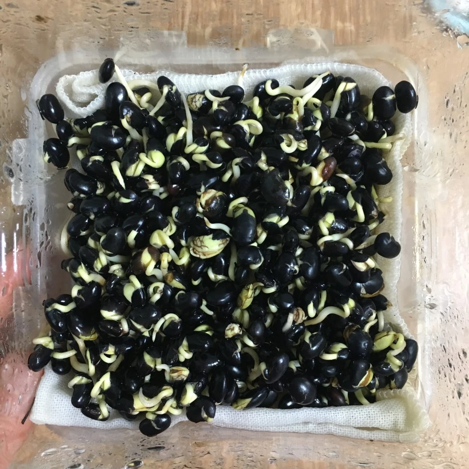 20210416_1120.JPG?type=w1