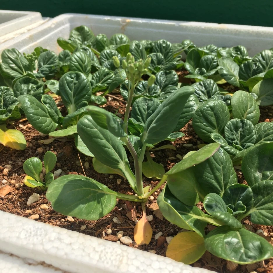 20210512_1417.JPG?type=w1