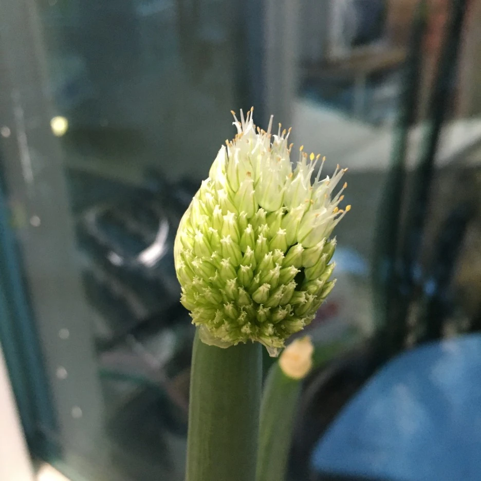 20210408_0593.JPG?type=w1