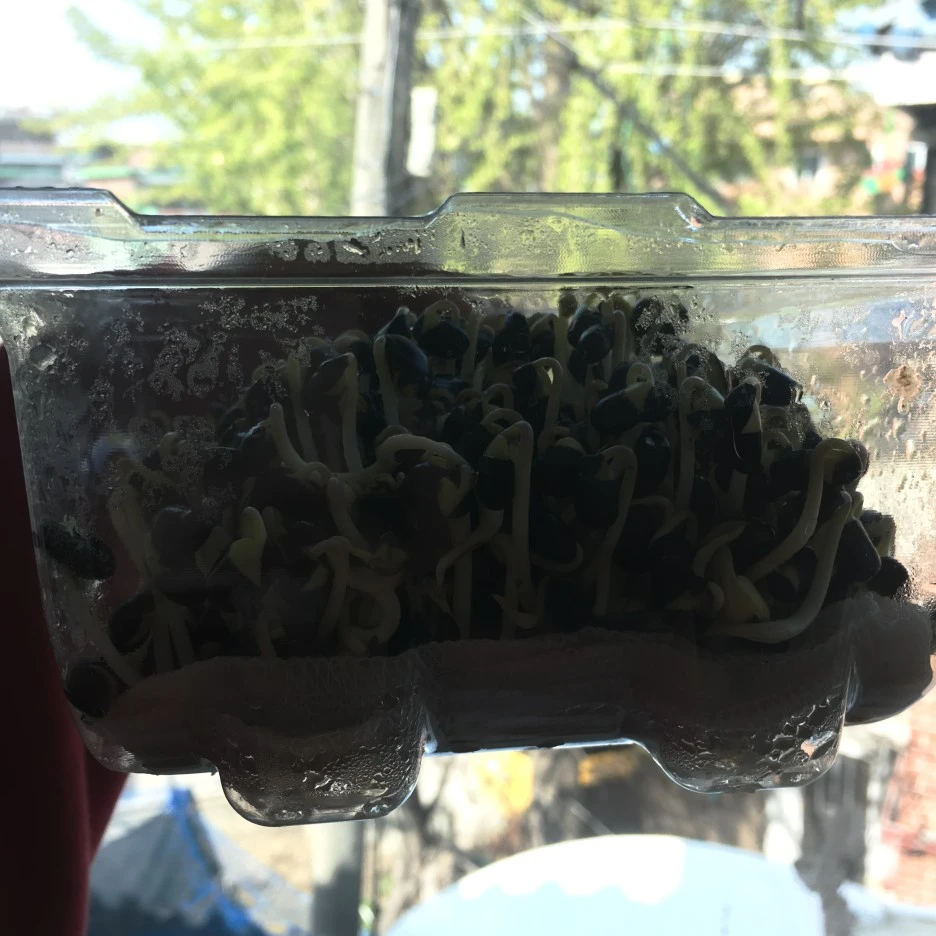 20210419_2860.JPG?type=w1