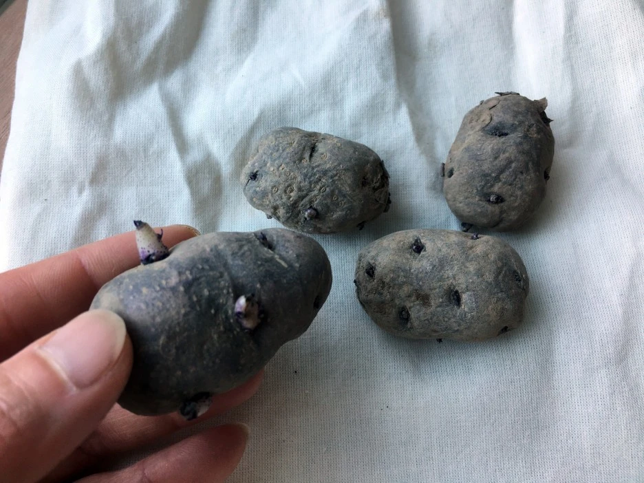 SE-78ca9c44-f1ed-4294-95e7-c31df36e8390.jpg?type=w1