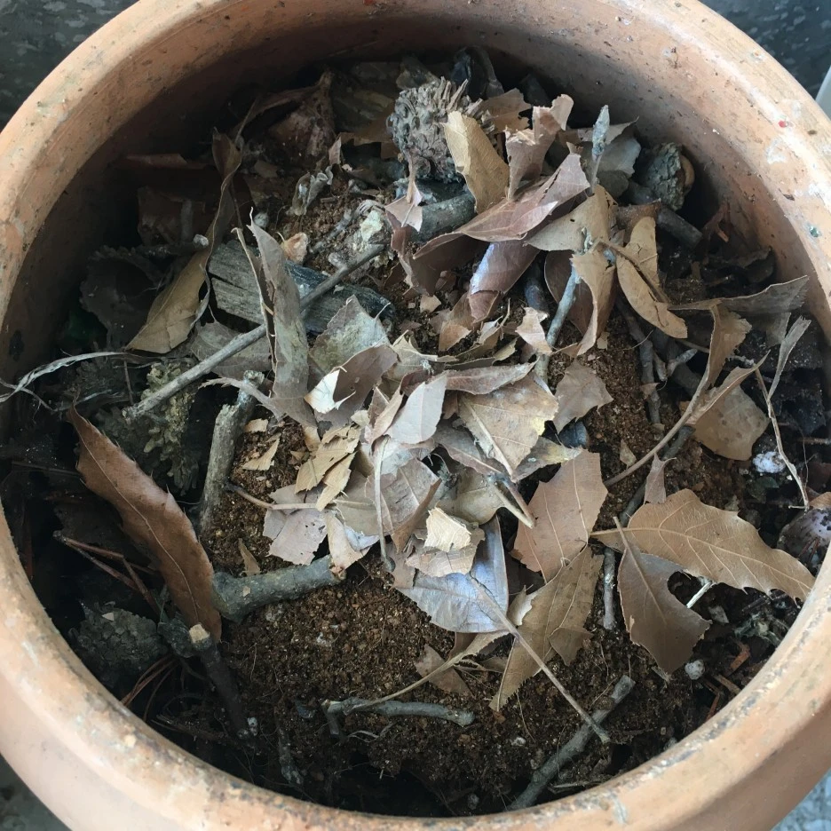 20210414_1054.JPG?type=w1