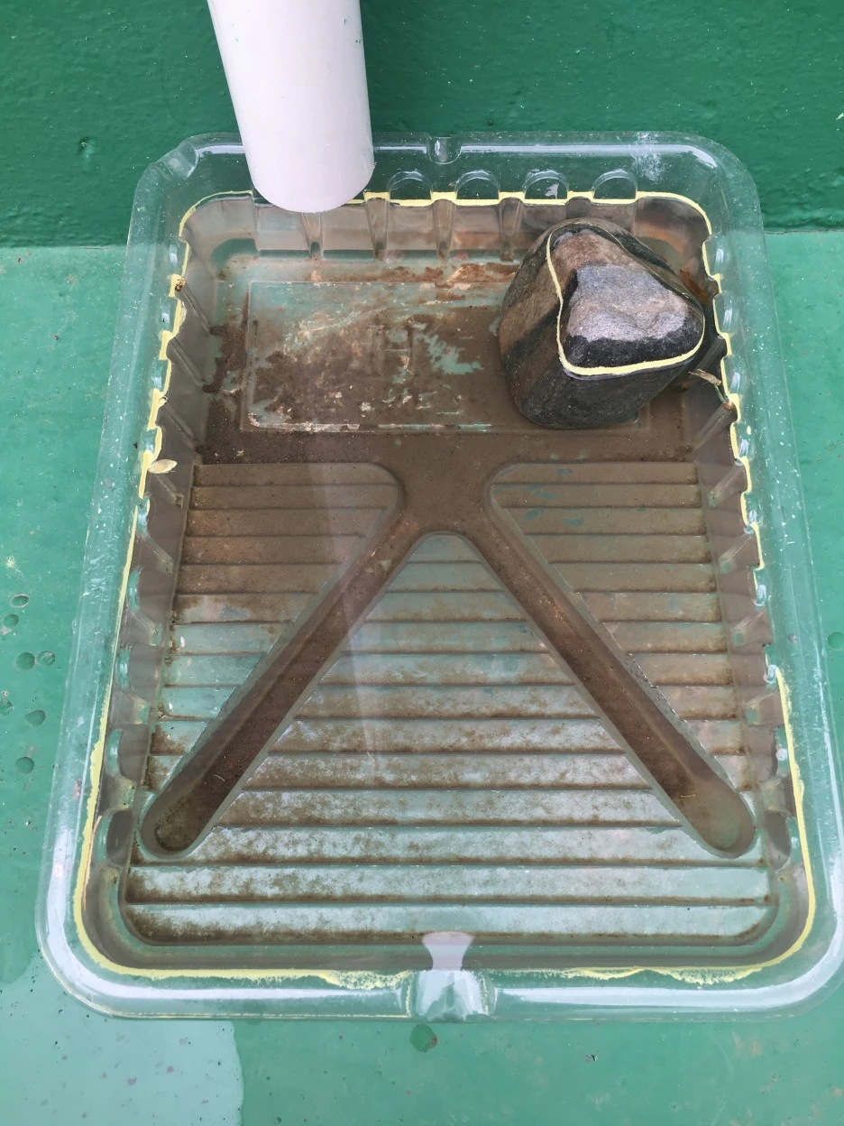 20210521_1757.JPG?type=w1