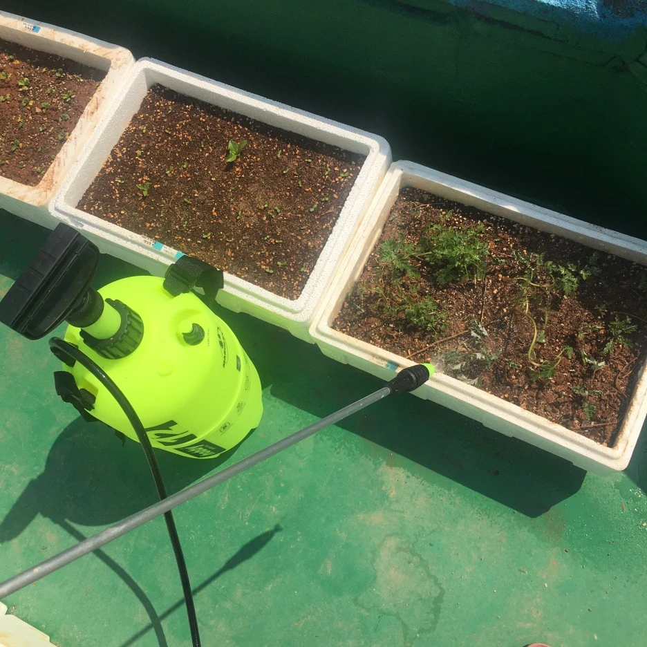 20210420_2866.JPG?type=w1