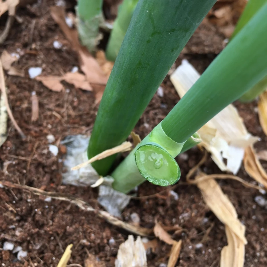 20210520_1725.JPG?type=w1