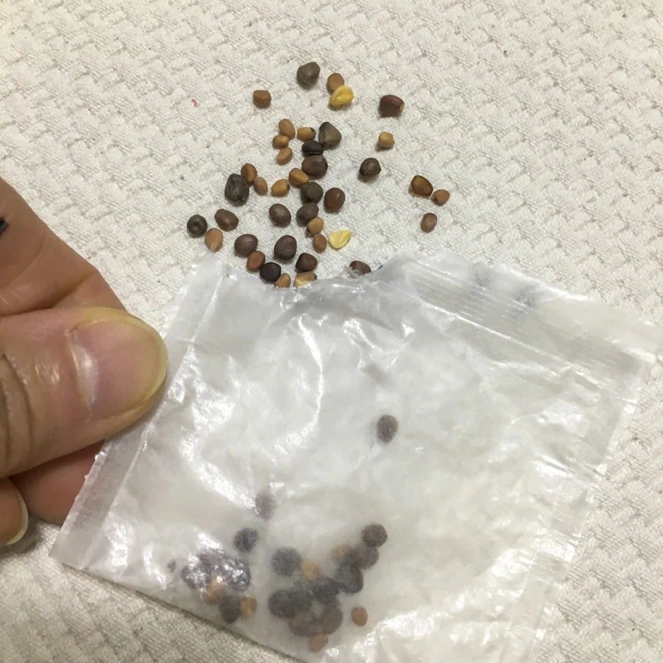 20210310_0161.jpg?type=w1