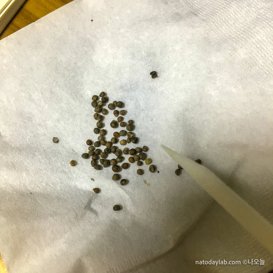 20210215--4.jpg?type=w1