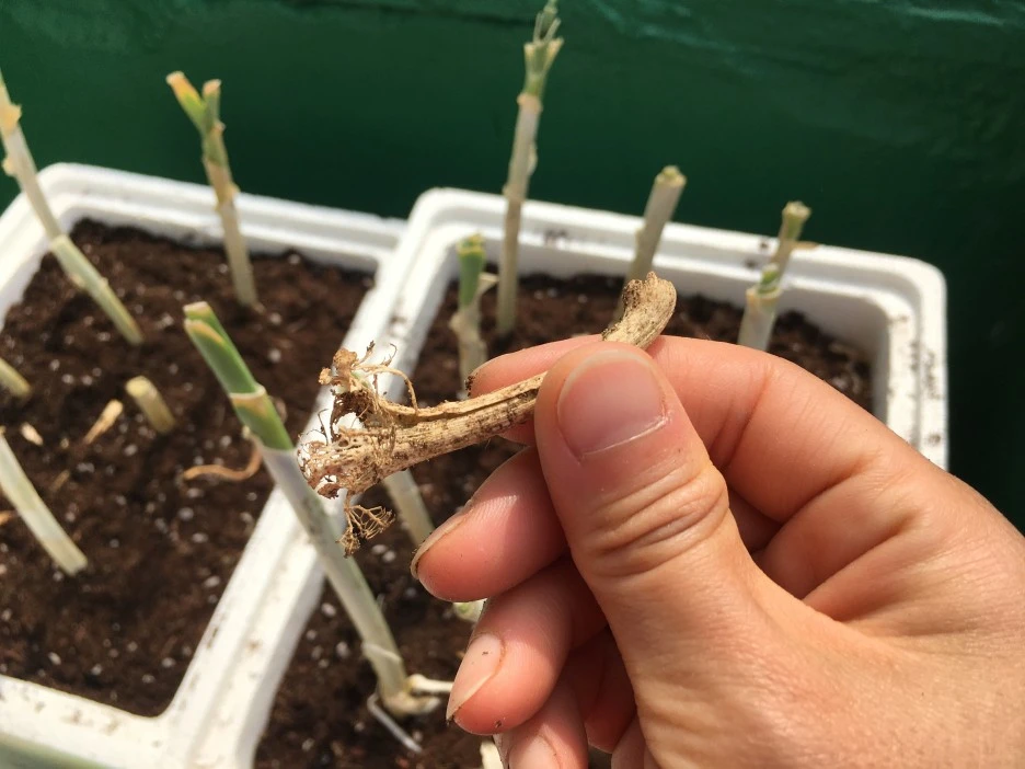 20210514_1475.JPG?type=w1