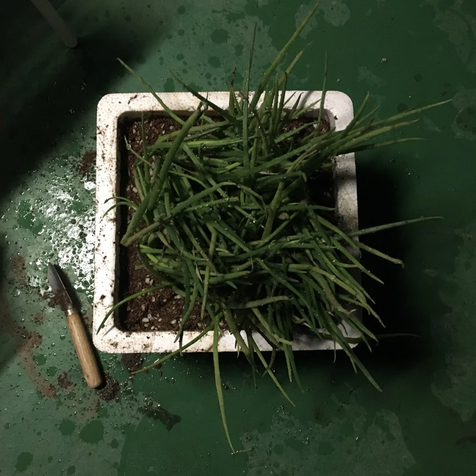 20210416_1118.JPG?type=w1