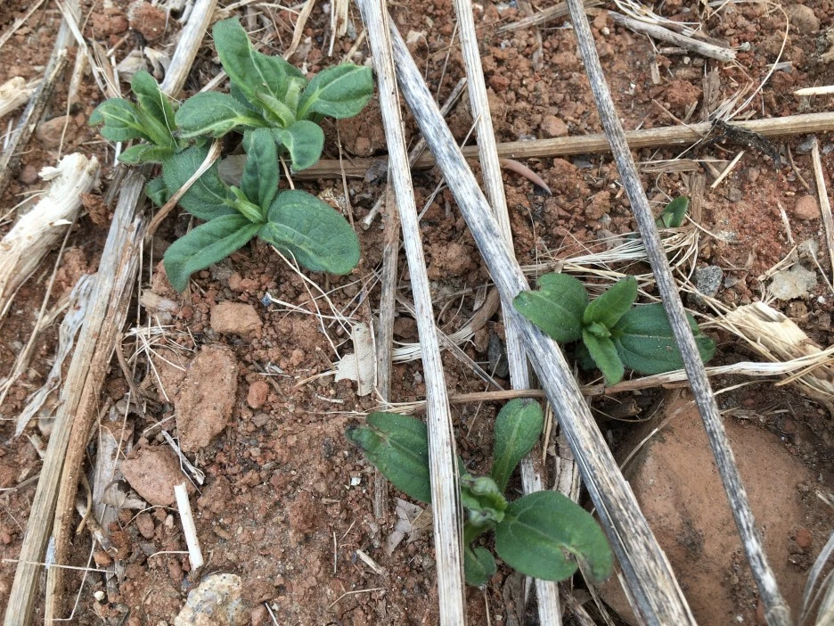 20210411_0932.JPG?type=w1