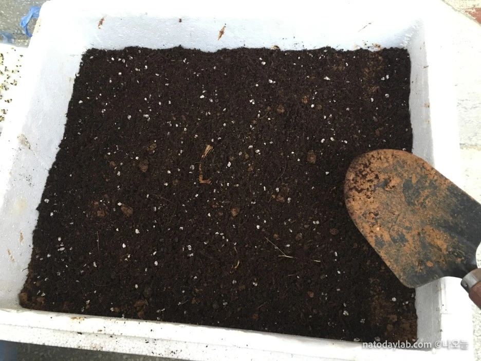 20210321--%EB%82%A0%EC%A7%9C-12.jpg?type=w1