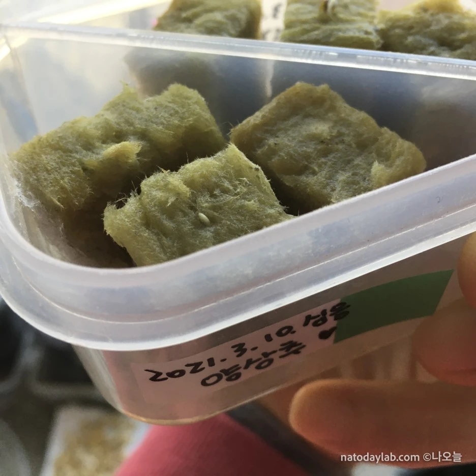 20210317--%EB%82%A0%EC%A7%9C-5.jpg?type=w1