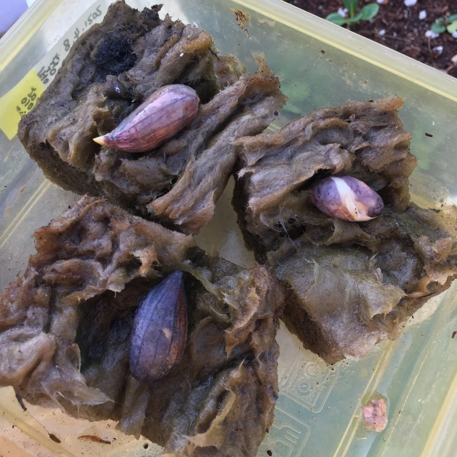 20210425_1052.JPG?type=w1